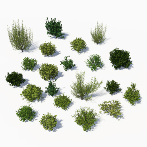 21 bush models.